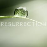 RESURRECTION | Assista ao vídeo promo da 2ª temporada