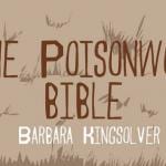 image promocional do livro the poisonwood bible